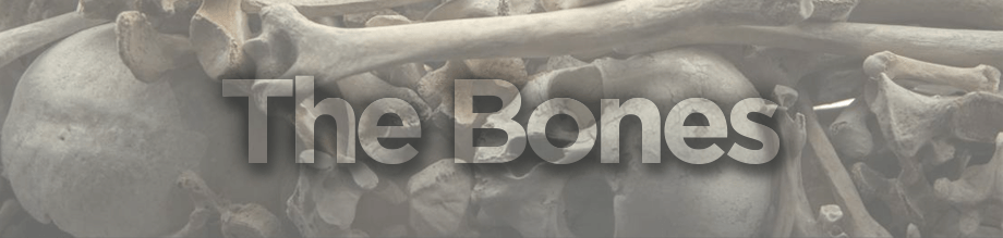 Vanson bones collection